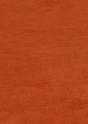 Meridian Velvet Spice by Threads Fabric