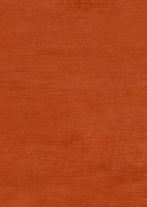 Meridian Velvet Spice by Threads Fabric