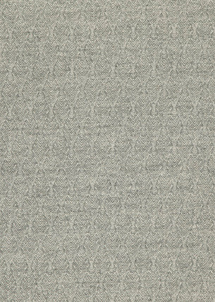 Capo Soft Grey by Threads Fabric
