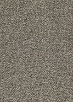 Capo Ebony by Threads Fabric