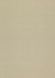 Dorsey Flax by Threads Fabric