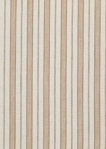 Stirling Taupe by Threads Fabric