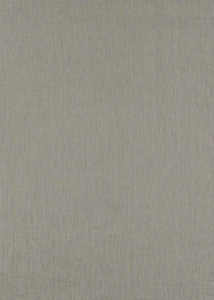 Southerly Breeze Graphite by Threads Fabric