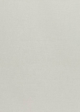 Aura Silver by Threads Fabric