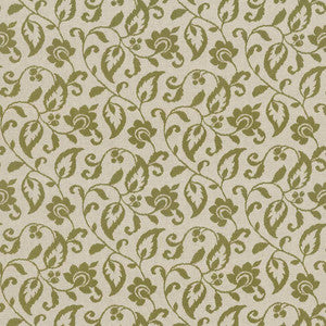 Edenton Kiwi by Kasmir Fabric