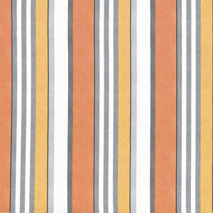 Edgemere Stripe Juice by Kasmir Fabric
