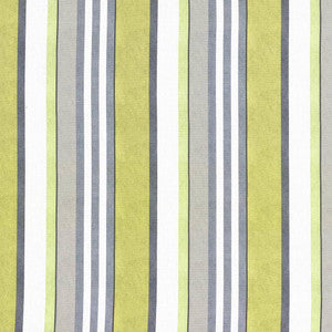 Edgemere Stripe Mimosa by Kasmir Fabric