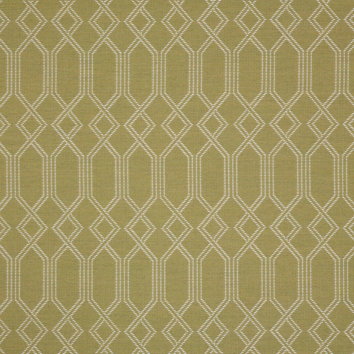 145153-0003 Connection Pesto by Sunbrella Fabric Sunbrella Acrylic USA or Imported 5-Year Horizontal: 0.5 in. and Vertical: 0.4 in. 54 in. - Fabric Carolina -