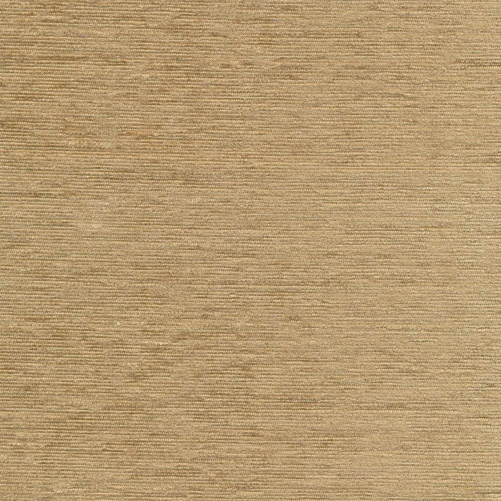 Elan Camel by Kasmir Fabric 1369 100% Polyester
 INDIA Not Tested Horizontal: N/A and Vertical: N/A 54 - Fabric Carolina -