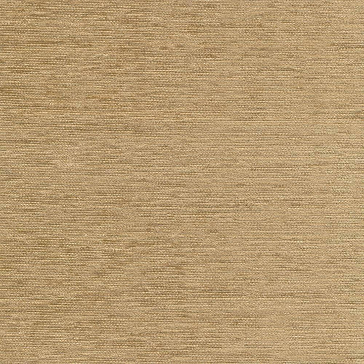 Elan Camel by Kasmir Fabric 1369 100% Polyester INDIA Not Tested H: N/A, V:N/A 54 - Fabric Carolina - Kasmir