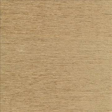 Elan Camel by Kasmir Fabric 1369 100% Polyester INDIA Not Tested H: N/A, V: N/A 54 - Fabric Carolina - Kasmir
