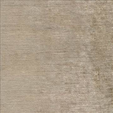 Elan Dove by Kasmir Fabric 1369 100% Polyester INDIA Not Tested H: N/A, V: N/A 54 - Fabric Carolina - Kasmir