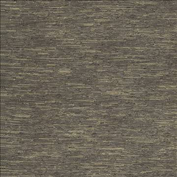 Ember Afterglow by Kasmir Fabric 5118 100% Polyester USA 15,000 Wyzenbeek Double Rubs H: N/A, V: N/A 56 - Fabric Carolina - Kasmir