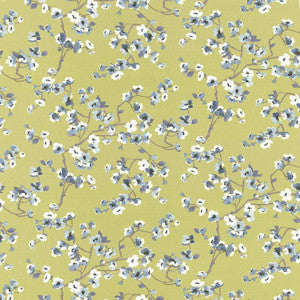 Empress Garden Green Tea by Kasmir Fabric