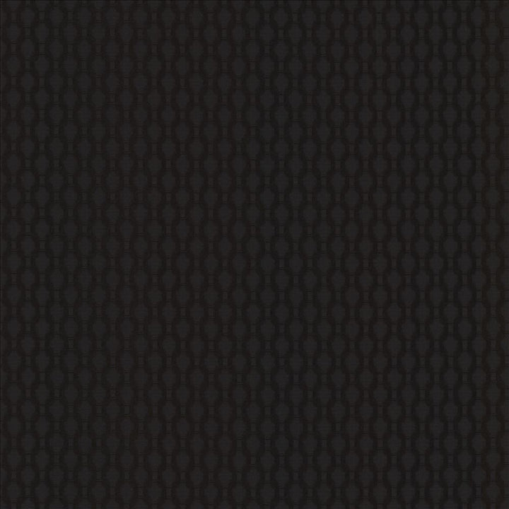 Enclosure Black by Kasmir Fabric 1462 60% Cotton
40% Polyester
 CHINA 15,000 Wyzenbeek Double Rubs Horizontal: 1 inches and Vertical: 1 inches 54 - Fabric Carolina -