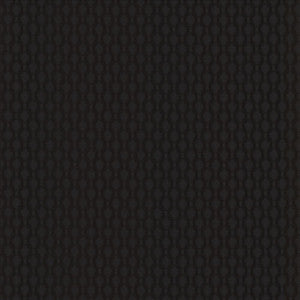Enclosure Black by Kasmir Fabric