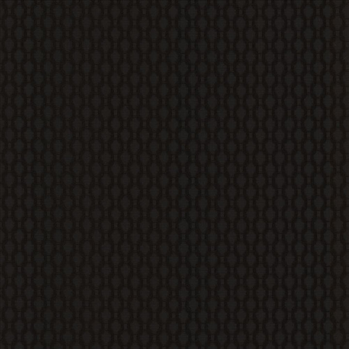 Enclosure Black by Kasmir Fabric 1462 60% Cotton
40% Polyester
 CHINA </p><p>Repeat: Horizontal: 1 inches and Vertical: 1 inches 54 - Fabric Carolina -
