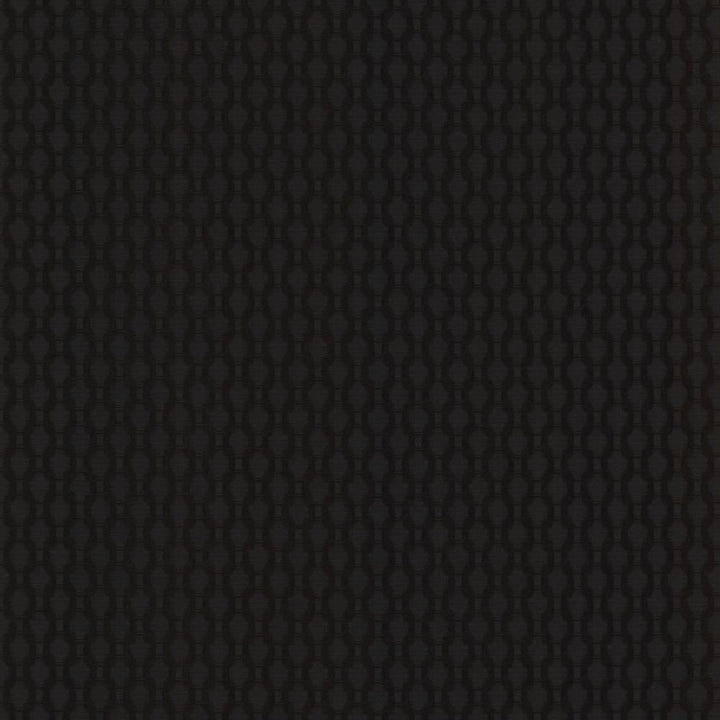 Enclosure Black by Kasmir Fabric 1462 60% Cotton
40% Polyester
 CHINA </p><p>Repeat: Horizontal: 1 inches and Vertical: 1 inches 54 - Fabric Carolina -
