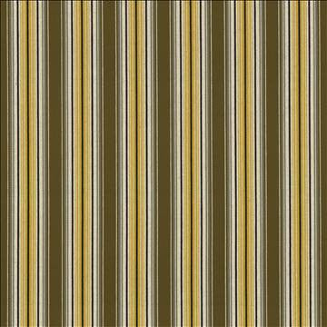 Englewood Stripe Earthen by Kasmir Fabric 1439 100% Cotton TURKEY 12,000 Wyzenbeek Double Rubs H: 3 1/8 inches, V: N/A 56 - 57 - Fabric Carolina - Kasmir
