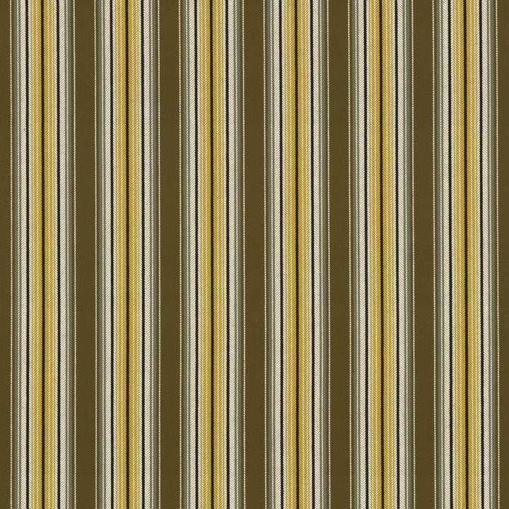 Englewood Stripe Earthen by Kasmir Fabric 1439 100% Cotton TURKEY 12,000 Wyzenbeek Double Rubs H: 3 1/8 inches, V:N/A 56 - 57 - Fabric Carolina - Kasmir