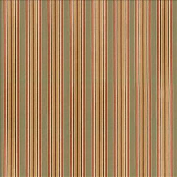Englewood Stripe Garden by Kasmir Fabric 1442 100% Cotton TURKEY 12,000 Wyzenbeek Double Rubs H: 3 1/8 inches, V: N/A 56 - 57 - Fabric Carolina - Kasmir