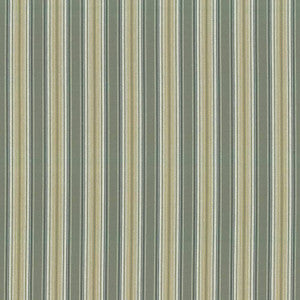 Englewood Stripe Horizon by Kasmir Fabric