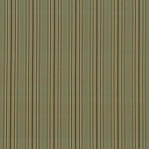 Englewood Stripe Marsh by Kasmir Fabric