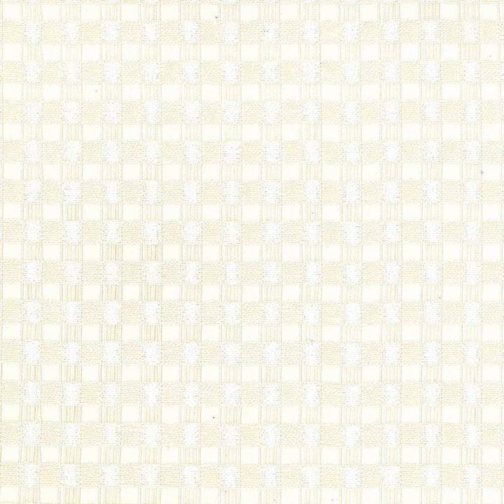 Enmeshed Ivory by Kasmir Fabric 1444 100% Polyester GERMANY H: 7/8 inches, V:7/8 inches 118 - Fabric Carolina - Kasmir