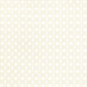 Enmeshed Ivory by Kasmir Fabric