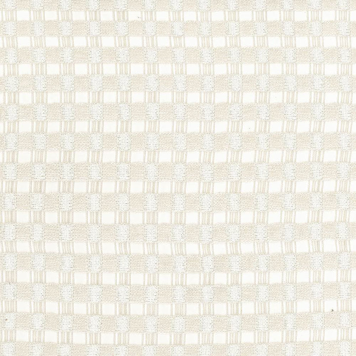 Enmeshed Pumice by Kasmir Fabric 1444 100% Polyester
 GERMANY </p><p>Repeat: Horizontal: 7/8 inches and Vertical: 7/8 inches 117 - 118 - Fabric Carolina -