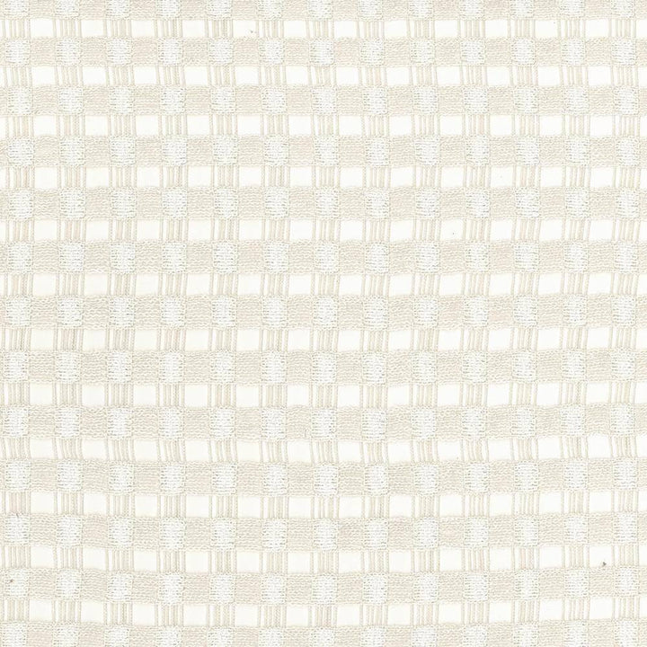 Enmeshed Pumice by Kasmir Fabric 1444 100% Polyester GERMANY H: 7/8 inches, V:7/8 inches 118 - Fabric Carolina - Kasmir