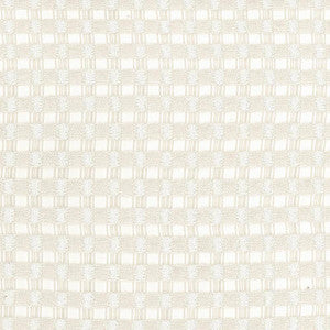 Enmeshed Pumice by Kasmir Fabric