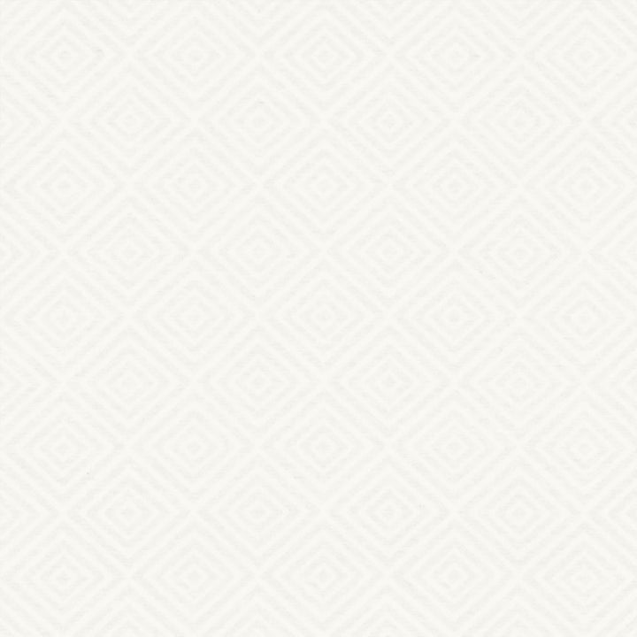 Enterprise 55 White by Kasmir Fabric 5138 66% Polyester
17% Acrylic
17% Cotton
 SPAIN </p><p>Repeat: Horizontal: 3 4/8 inches and Vertical: 3 4/8 inches 55 - Fabric Carolina -