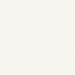 Enterprise 55 White by Kasmir Fabric