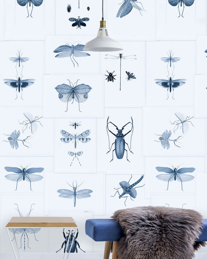 ENTOMOLOGY Blue Wallpaper (WP20235) by Mind The Gap | WP20235 | PREMIUM DESIGNER WALLPAPER COLLECTION | 3 rolls x 20.5 x 118.1 in | 0.52m / 20.5in | 3m / 118in | 4.65mp | 300cm / 118in | Blue, Taupe | Non-woven | Paste the wall | 3-rolls in a box | Fabric Carolina | https://www.fabriccarolina.com/