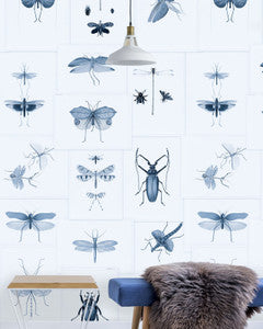 ENTOMOLOGY Blue Wallpaper (WP20235) by Mind The Gap