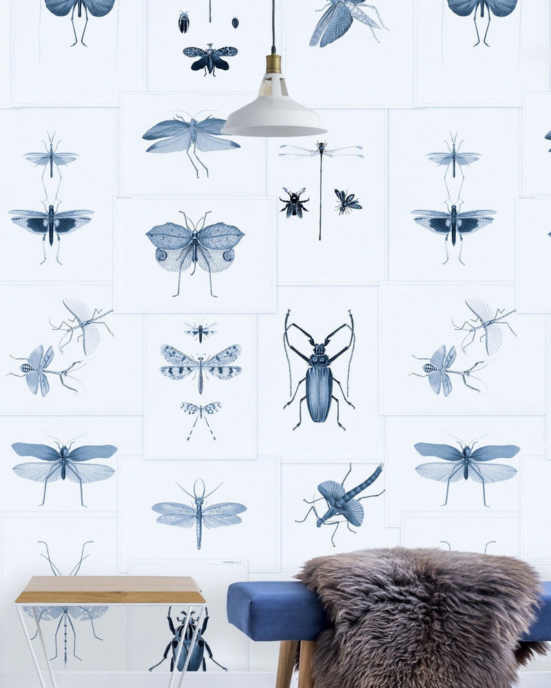 ENTOMOLOGY Blue Wallpaper (WP20235) by Mind The Gap | WP20235 | PREMIUM DESIGNER WALLPAPER COLLECTION | 3 rolls x 20.5 x 118.1 in | 0.52m / 20.5in | 3m / 118in | 4.65mp | 300cm / 118in | Blue, Taupe | Non-woven | Paste the wall | 3-rolls in a box | Fabric Carolina | https://www.fabriccarolina.com/