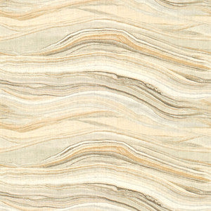 Envisioned Champagne by Kravet Couture Fabric