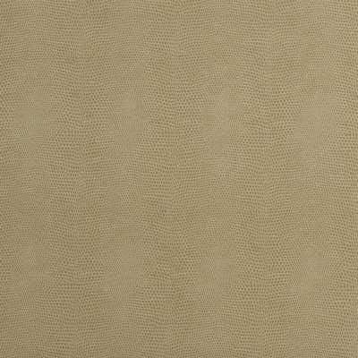 Epitome Putty by Kravet Couture Fabric