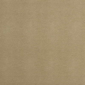 Epitome Putty by Kravet Couture Fabric