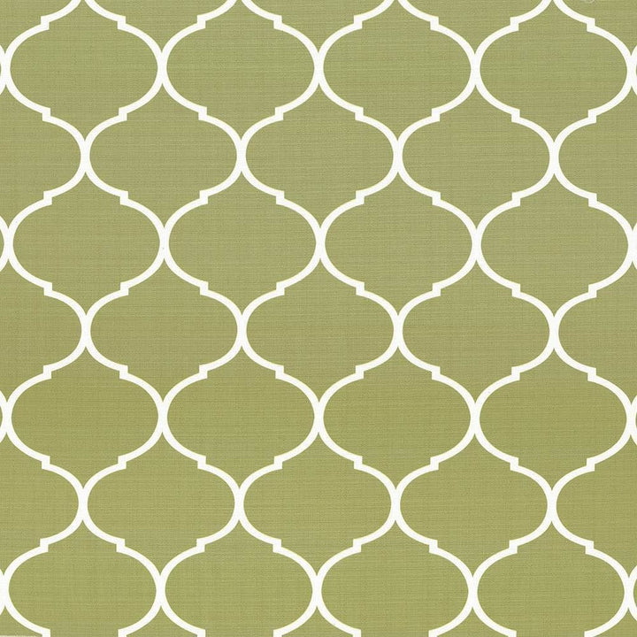 Escena Kiwi by Kasmir Fabric 5065 100% Polyester
 CHINA 10,000 Wyzenbeek Double Rubs Horizontal: 8 6/8 inches and Vertical: 10 inches 54 - Fabric Carolina -