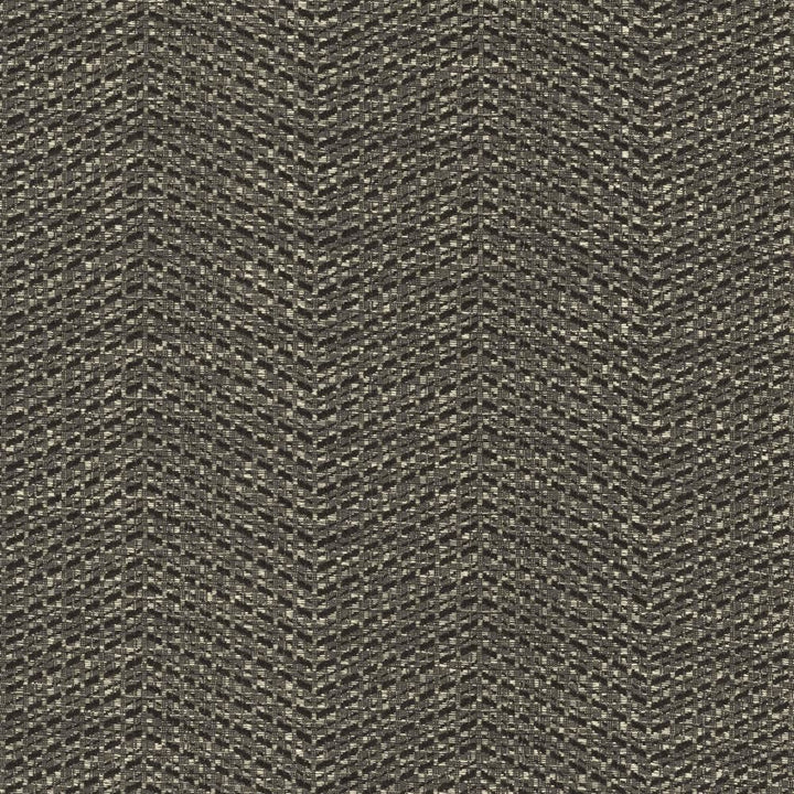 Esker Pepper by Kasmir Fabric 5120 51% Rayon
49% Cotton
 PAKISTAN </p><p>Repeat: Horizontal: 7 inches and Vertical: 4/8 inches 54 - Fabric Carolina -