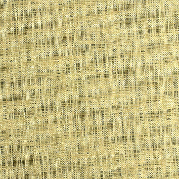 Etching Gold by Kravet Couture Fabric