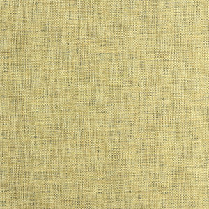 Etching Gold by Kravet Couture Fabric