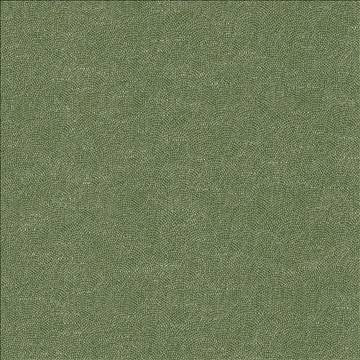 Euphoric Seagreen by Kasmir Fabric 5099 55% Cotton 45% Polyester TAIWAN 25,000 Wyzenbeek Double Rubs H: N/A, V: N/A 54 - 55 - Fabric Carolina - Kasmir