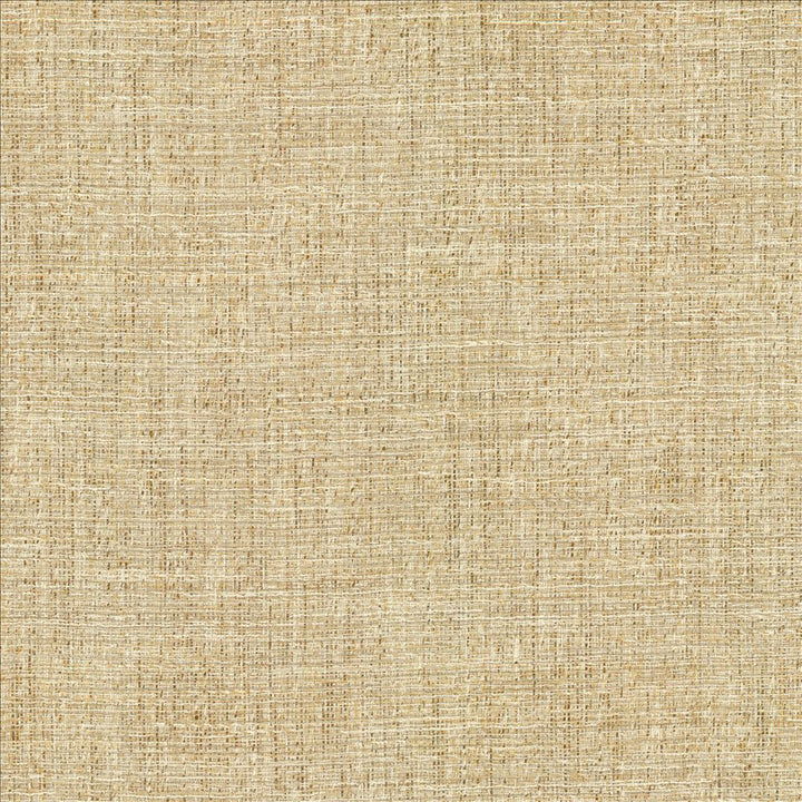 Evangeline Sisal by Kasmir Fabric 1461 72% Polyester
19% Cotton
9% Rayon
 INDIA </p><p>Repeat: Horizontal: N/A and Vertical: N/A 56 - Fabric Carolina -