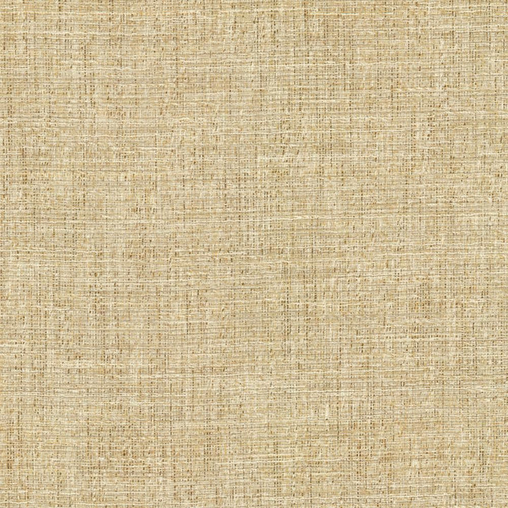 Evangeline Sisal by Kasmir Fabric 1461 72% Polyester
19% Cotton
9% Rayon
 INDIA </p><p>Repeat: Horizontal: N/A and Vertical: N/A 56 - Fabric Carolina -