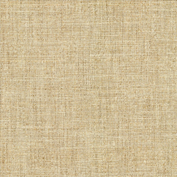 Evangeline Sisal by Kasmir Fabric 1461 72% Polyester
19% Cotton
9% Rayon
 INDIA 30,000 Wyzenbeek Double Rubs </p><p>Repeat: Horizontal: N/A and Vertical: N/A 56 - Fabric Carolina -
