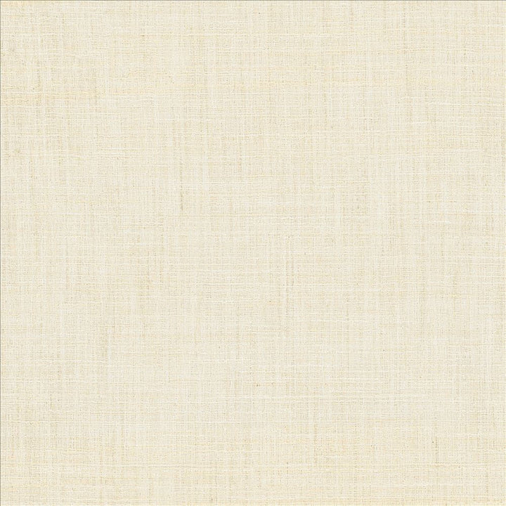 Evangeline Starlight by Kasmir Fabric 1461 72% Polyester
19% Cotton
9% Rayon
 INDIA 30,000 Wyzenbeek Double Rubs </p><p>Repeat: Horizontal: N/A and Vertical: N/A 56 - Fabric Carolina -