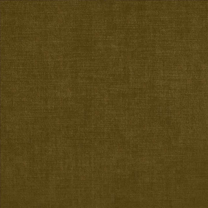 Evermore Bark by Kasmir Fabric 5179 100% Polyester
 INDIA </p><p>Repeat: Horizontal: N/A and Vertical: N/A 54 - Fabric Carolina -